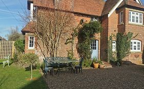Squirrels: Ideal Sussex Country Break For Family